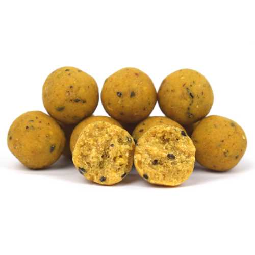 Bait Service Straubing - Freezerbaits und Shelf Life...