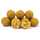 Bait Service Straubing - Freezerbaits und Shelf Life Fermented Milk Boilie