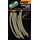 FOX Edges - Shrink Tube Trans Khaki Small 1,8 - 0,7 mm