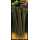 FOX Edges - Tadpole Inline Insert Trans Khaki