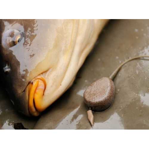 Korda Tapered Sleeves Muddy Brown und Weedy Green