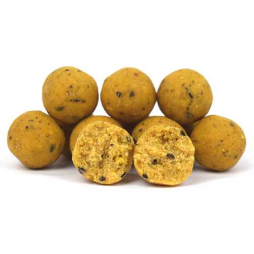 Bait Service Straubing  - Freezerbaits und Shelf Life...