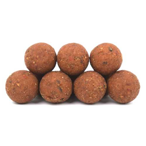 Bait Service Straubing  - Freezerbaits und Shelf Life...