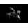 RidgeMonkey - Bait Screws Small
