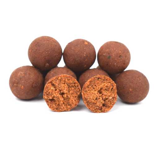 Bait Service Straubing - Freezerbaits und Shelf Life...