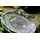 Korda - Limited Edition Scales - 54 kg / 120 lb