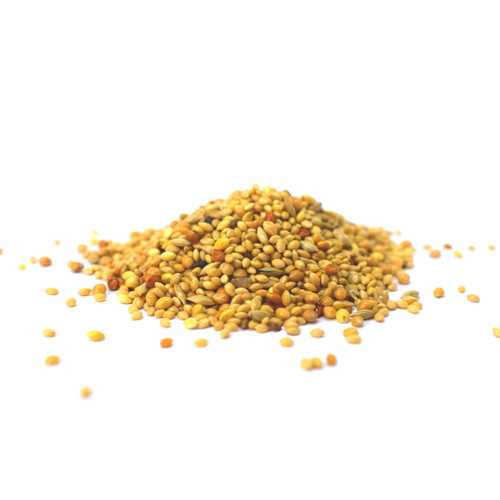 BSS - Exotenfutter - 1 Kg und 5 Kg