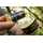 CC Moore - Hookbait Booster - Citrus Zest 50 ml