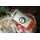 CC Moore - Hookbait Booster - Carp Freak CF1 50 ml