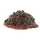 Bait Service Straubing - Prepared Partikel Natural Hanf mit Bloodworm - 5 Kg