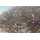 Bait Service Straubing - Prepared Partikel Natural Hanf mit Bloodworm - 5 Kg
