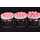 CC Moore - Elite Pop Ups Range Dairy Supreme - 18 mm