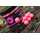 CC Moore - Northern Specials NS1 Pop Ups Pink - 12  mm