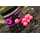 CC Moore - Northern Specials NS1+ Pop Ups Pink - 13 - 14  mm (noch 2 x verfügbar)