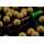 Sticky Baits - Pop Ups Range Manilla - 16 mm