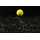 Sticky Baits - Pop Ups Range Manilla Yellow Ones - 16 mm