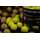 Sticky Baits - Wafters Manilla Yellow Ones - 16 mm