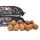 BSS Mixed Shelf Life Boilie Bundle 10 Kg Enzym HD und Hydro LEP - 12, 16, 20 und 24 mm Rund