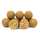 Bait Service Straubing - Boilie Range Testpakete - 1 Kg Nutty - 12 mm Rund