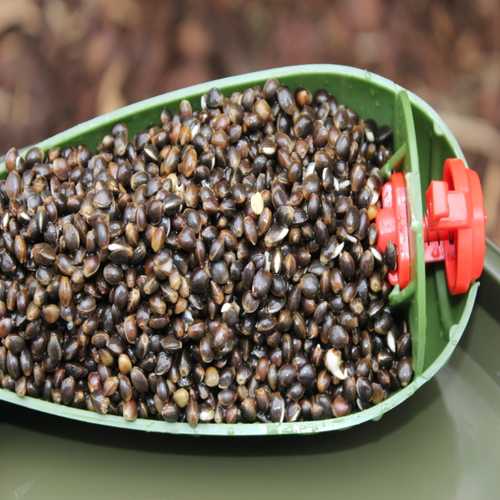 Bait Service Straubing - Prepared Flavoured Hanf - 5 Kg