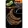 FOX Edges - Withy Curves Trans Khaki Size 10 - 7