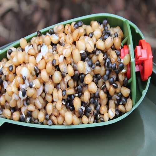 Bait Service Straubing - Prepared Hanf Weizen Mix - 10 Kg