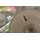 Korda - Dark Matter Super Heavy Braided Hooklink 15 lb, 20 lb und 30 lb