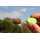 Korda - Longchuck Funnel Web Hexmesh Refill 5 m und 20 m