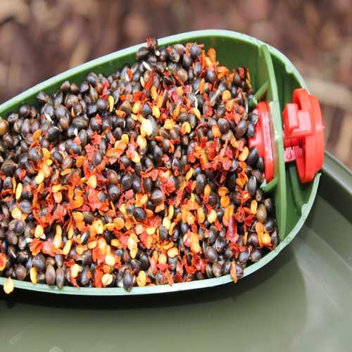 Bait Service Straubing - Prepared Hanf Chilli - 10 Kg