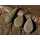 Korda - Textured Flat Pear Inline
