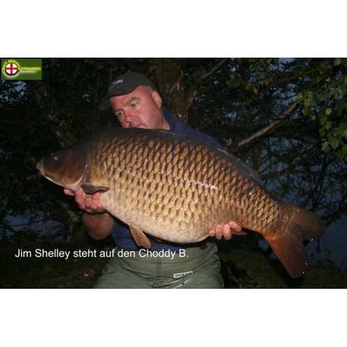Korda - Choddy B Größe 4, 6, 8 und 10