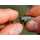 Korda - Heli Safe Lead Release System