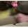 PB Products Silk Ray Hit & Run Chod Leader Weighted 1 g