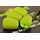 Korda - Pop Up Maize / Fake Bait