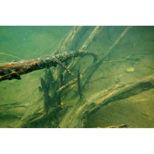 Korda - Arma-Kord Sinking Leader 30 lb 13,6 Kg - 50 m ( noch 1 x verfügbar )