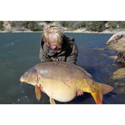 Korda - Arma-Kord Sinking Leader 30 lb 13,6 Kg - 50 m ( noch 1 x verfügbar )