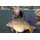 Korda - Arma-Kord Sinking Leader 30 lb 13,6 Kg - 50 m ( noch 1 x verfügbar )