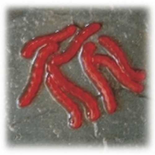 Enterprise Tackle Artificial Bloodworm