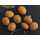 Enterprise Tackle Sinking Tigernuts Mini und Standard